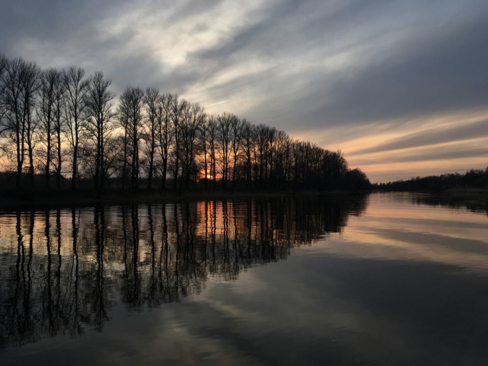 Still lake at dusk with a treeline silhouetted against the sky